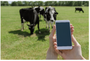 Mobile Learning on Farm
