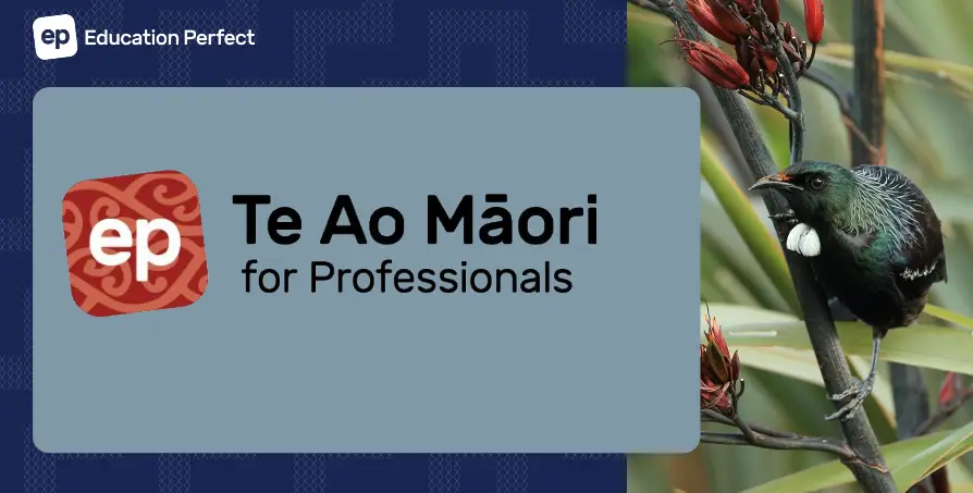 Te Ao Maori for Professionals