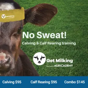 Calving and Calf Rearing Combo